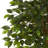 Ficus Artificial Tree