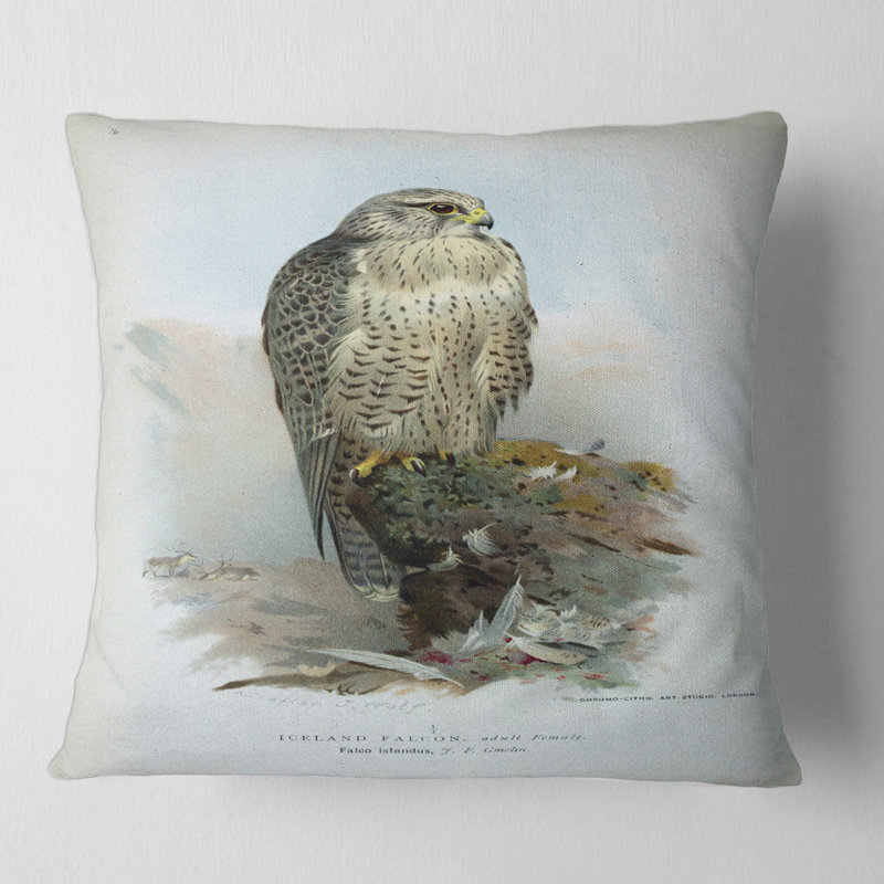 Coussin décoratif Vintage, 16" x 16"