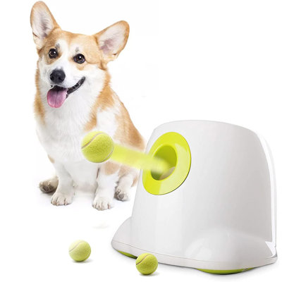 Mini-lance-balles pour chien Agility Équipement Interactives