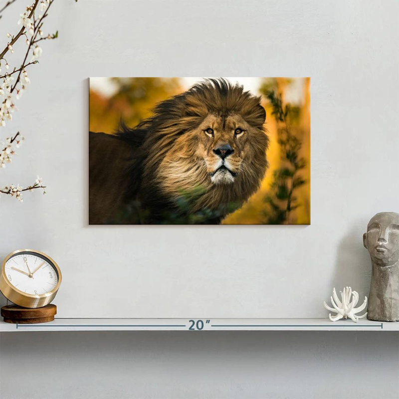 Brampt Lion Head Splendor, 8" H x 12" W