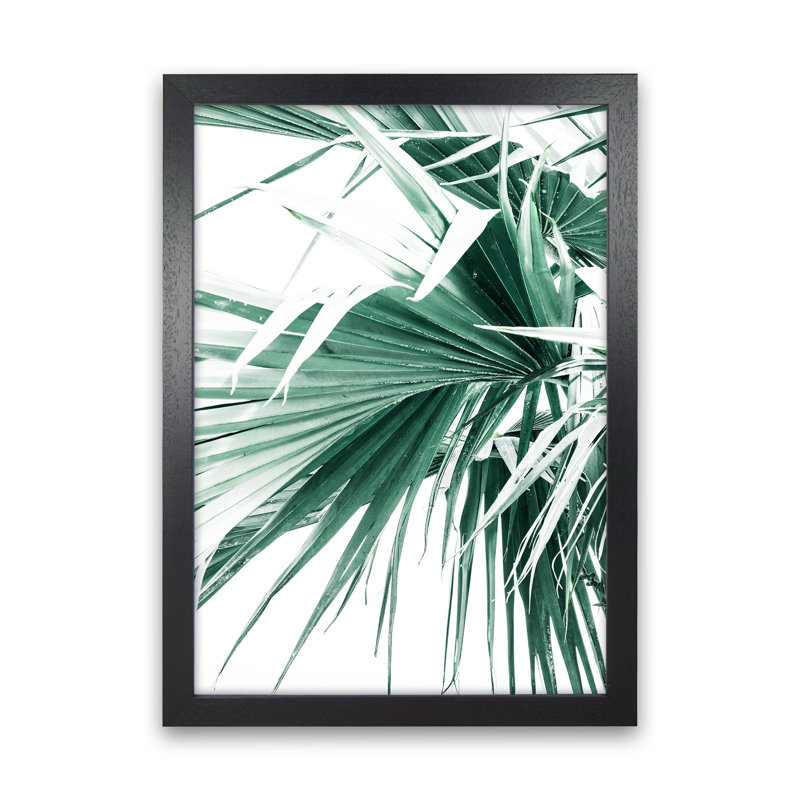 Palm Leaves by Victoria Frost - Print, Black Framed, 46cm H x 34cm W x 3cm D