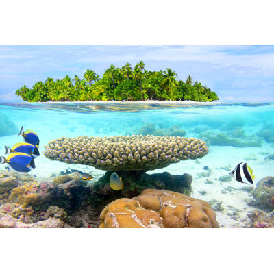 Paradis tropical par Alxpin