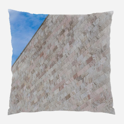 Coussin décoratif Wall