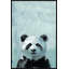 «What Up Panda», reproduction sur toile encadrée-61606107