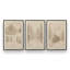 Pathway to Christmas Set of 3 Canvas Prints-98469674-98469669-98469678