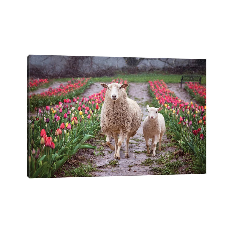 Mommy And Me Tulips by Karen Burke - Wrapped Canvas Print