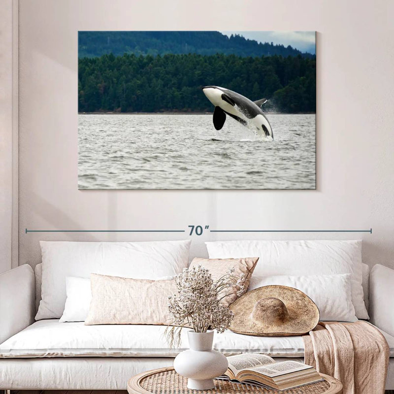 Crowle Orca Jumping, 32" H x 48" W