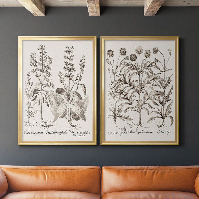 Sépia Besler Botanicals III - Ensemble de 2 reproductions de cadres photo sur toile, Or, H 24,5 po x l 37 po x P 1,25 po