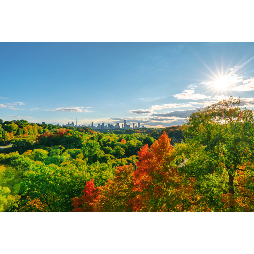 Toronto Herbstlandschaft 2020 von Orchidpoet - Drucken