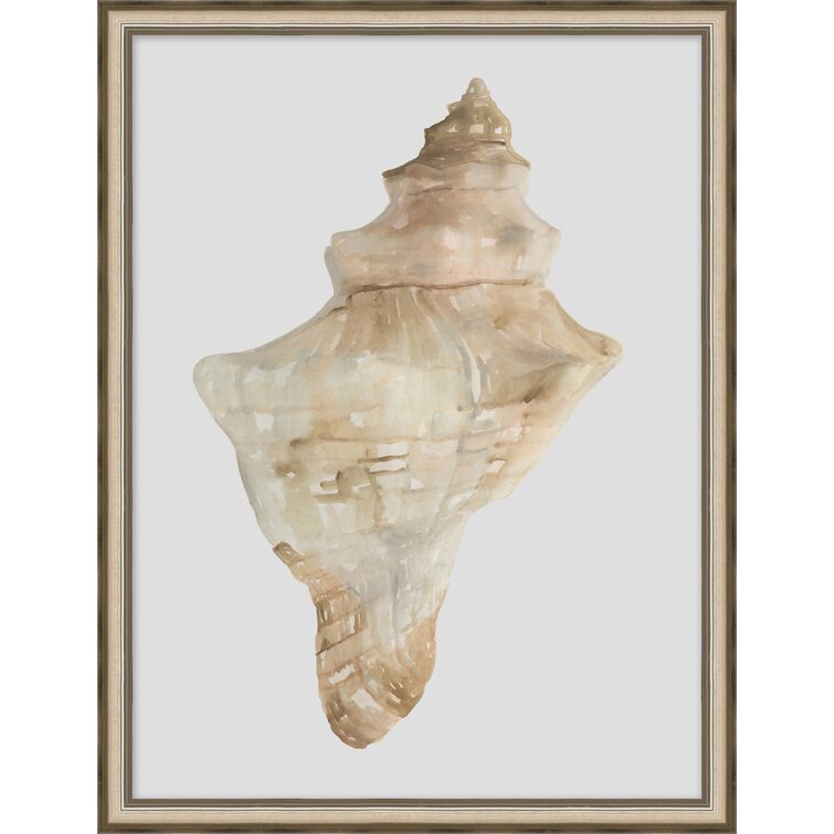 Wendover Art Group Watercolor Sea Shells Watercolor Sea Shells 4 Framed ...