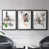 Black Framed