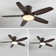 Laurenzia 122cm Ceiling Fan with LED Lights