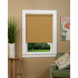 Almanzar Semi Sheer Roll-Up Shade