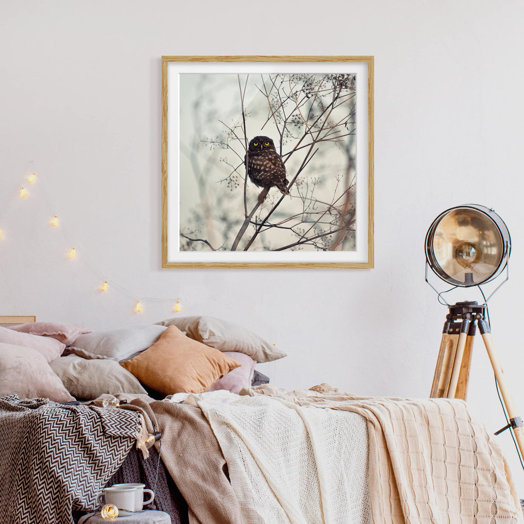 Gerahmtes Poster Owl in Winter