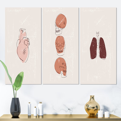 Humain rétro Anatomie I - ensemble d'art moderne Mid-Century de 3 pièces