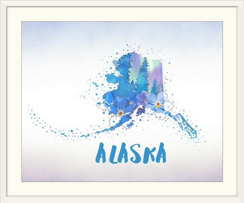 « alaska state fleur (oublier-moi-pas) », impression, H 20 po x l 23 po x P 1 po, Cadre blanc