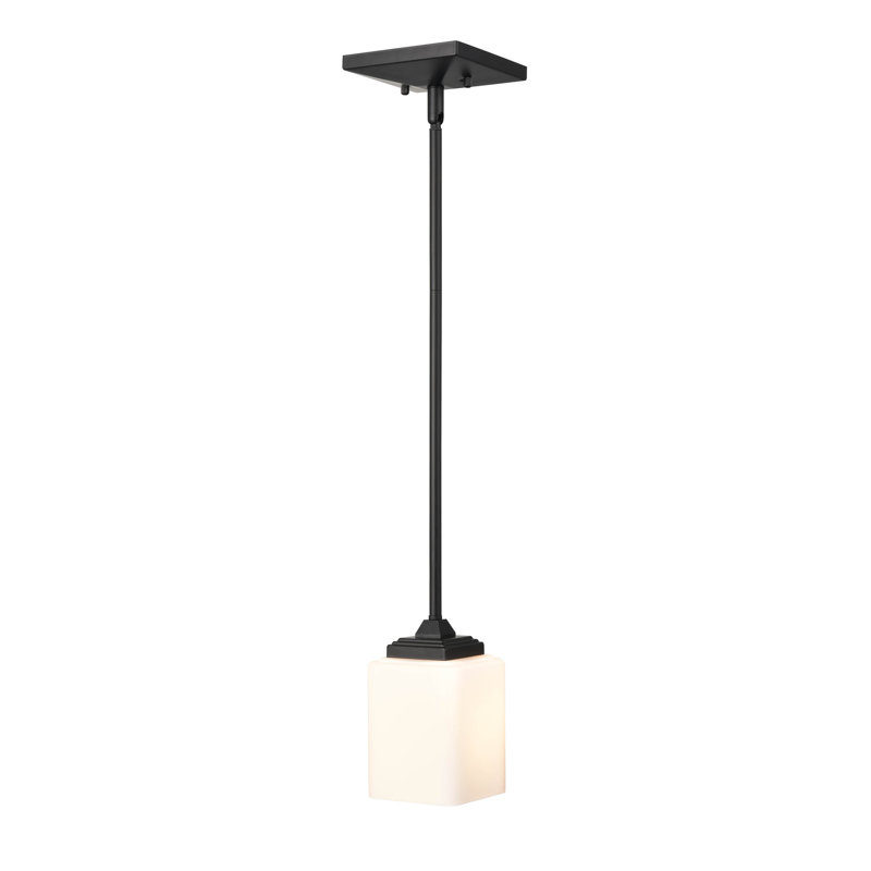 Luminaire suspendu à 1 lumière à 1 lumière, Noir mat