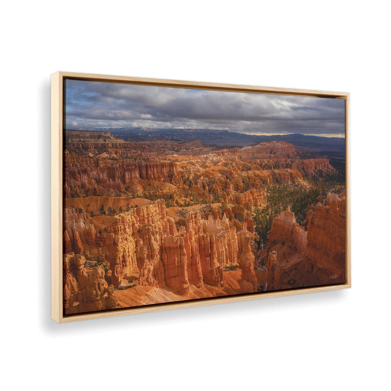 «Partly Sunny» par Martin Podt, reproduction d'art, L 12 po x H 8 po, Tanné, Toile avec cadre
