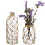Ensemble de 2 bouteilles décoratives en verre beige / transparent Canvey