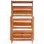 Wood Plant Stand