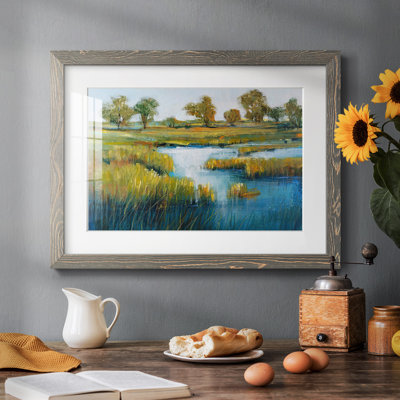 Vue de marais IV