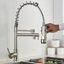 Belfry Kitchen Keenes Pull Down Kitchen Faucet