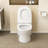 18" Comfort Height One-Piece Toilet,12" Rough-In Modern Ceramic Toilet with 1.22/1.6 GPF Dual-Flush(Soft Close Seat Included)-125361111