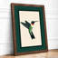 Hummingbird in Flight Modern - Framed Print-745210204-745210205