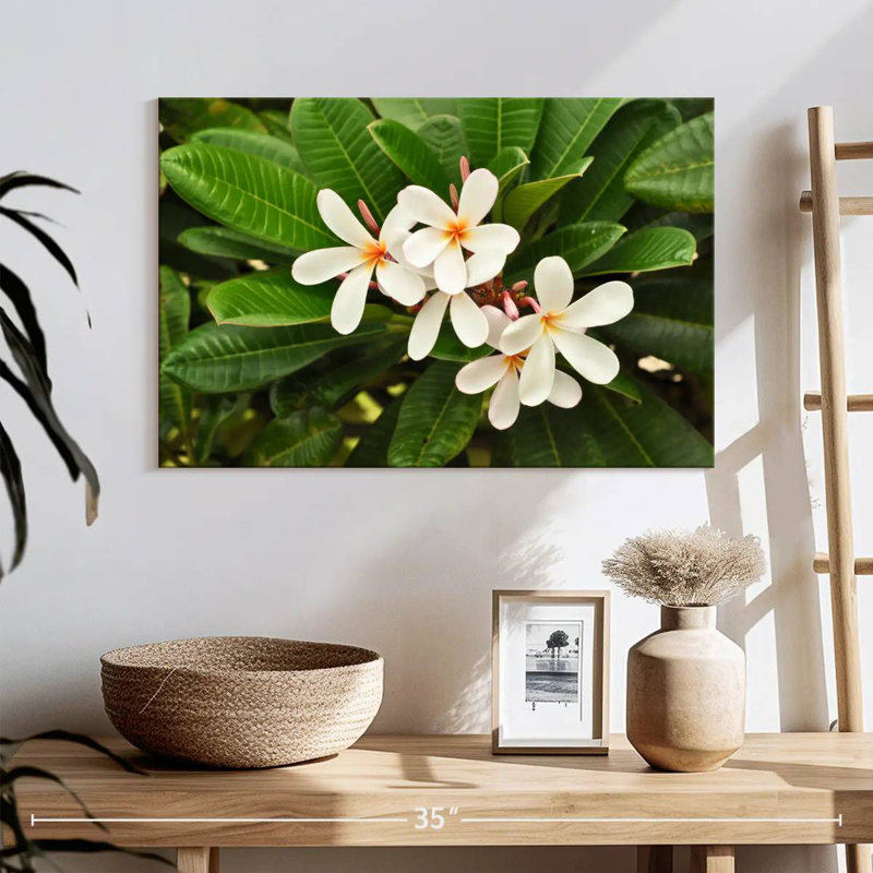 Harnek White Plumeria Flowers, 16" H x 24" W