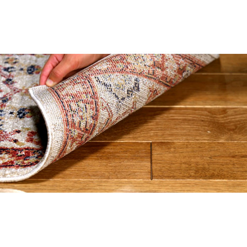 World Menagerie Sechovicz Performance Oriental Rug & Reviews | Wayfair