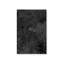 Impression sur toile «Coneflower I» par Tony Smith-1028393525