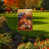 Automne brun/jaune 2