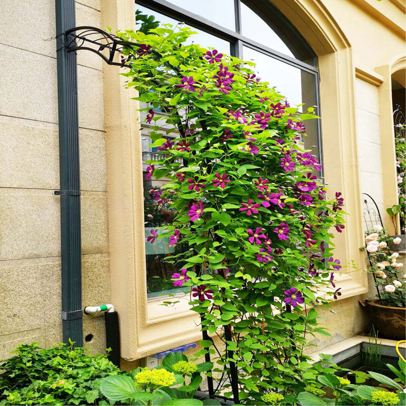 Arche de jardin en métal à assembler librement avec 8 styles de tiges de jardin