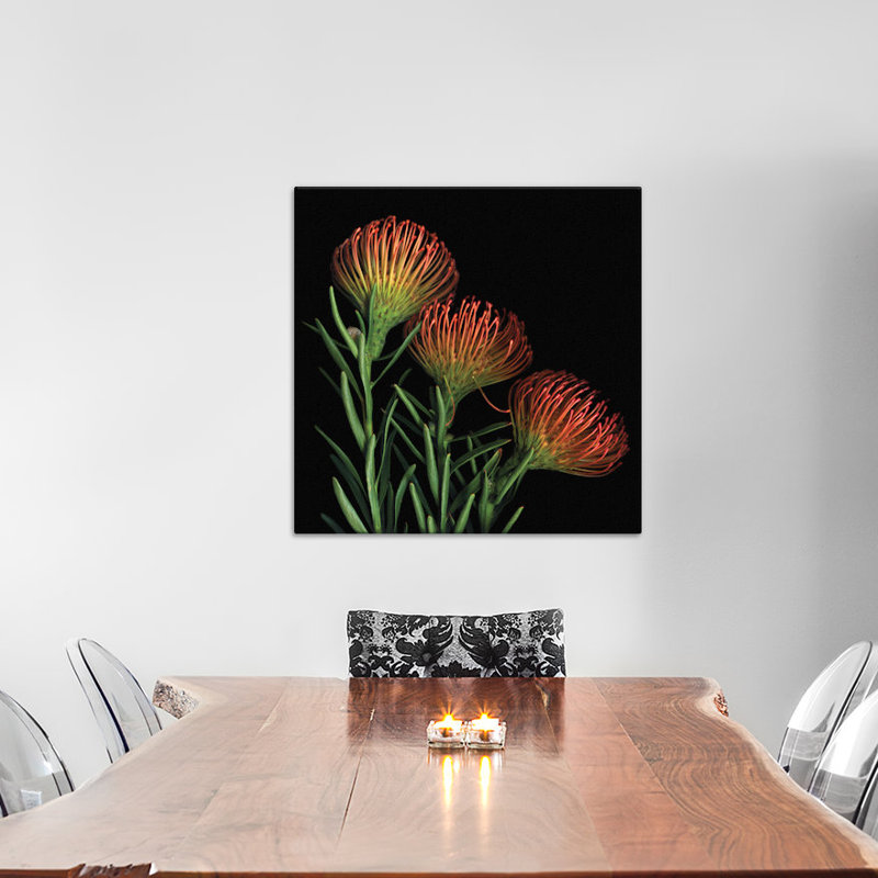 Une rushe de leucospermum à sucre, reproduction de photo sur toile tendue, H 37 po x l 37 po x P 1,5 po, Pas de tapis