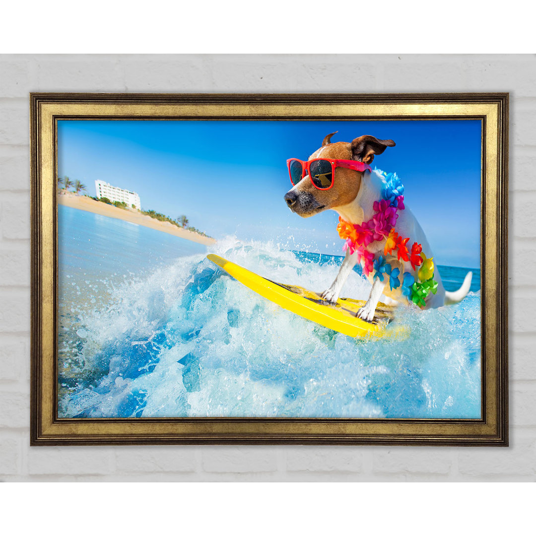 Hund mit Sonnenbrille beim Surfen - Druck