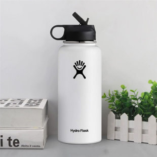 https://assets.wfcdn.com/im/09049836/resize-h310-w310%5Ecompr-r85/2091/209109981/hydro-flask-32oz-vacuum-insulated-stainless-steel-water-bottle-with-straw-lid.jpg