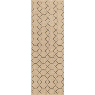 Sheglita Abstract Indoor Rug