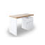 Hollice Desk