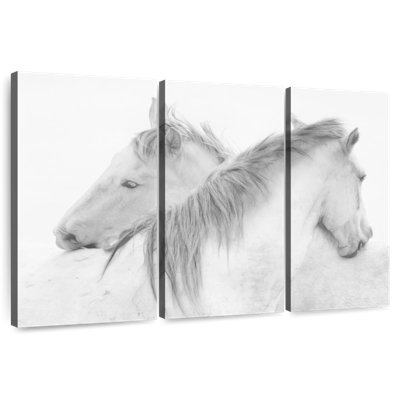 Stas Horses