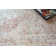 Antique Loom Beige/Rust Polyester powerloom Area Rug