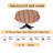 Ruvanti 70 Inch Round Tablecloth 100% Cotton Dining Table Cloth for 4-6 Foot Table