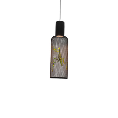 Curio 1 - Light Pendant