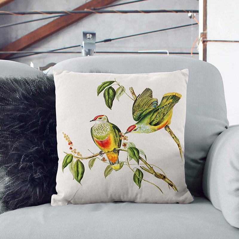 Swainson's Fruit Pigeons by Elizabeth Gould Cushion with Filling, 40cm H x 40cm W x 15cm D, Black