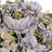 Mixed Peony Hydrangea Flower Bush-2007965845