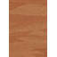 One-of-a-Kind 8'8" X 11'5" Area Rug
