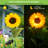28'' Solar Powered Integrated LED Lawn Ornament