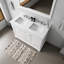Ensemble de meuble-lavabo double l 48 po x P 22 po Dukes, robinet et miroir de 46 po-112873894-74095227
