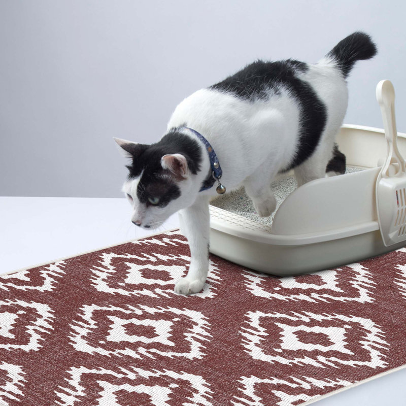 Tapis de litière, Marron