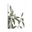 Pale Green Leaves 1 Piece Wrapped Canvas Wall Art-1267616119