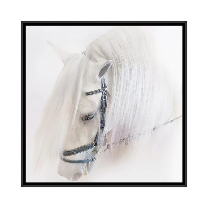 «Purebred III» par Ozana Sturgeon, reproduction sur toile, H 26 po x l 26 po x P 1,5 po, Toile avec cadre noir, Pas de tapis